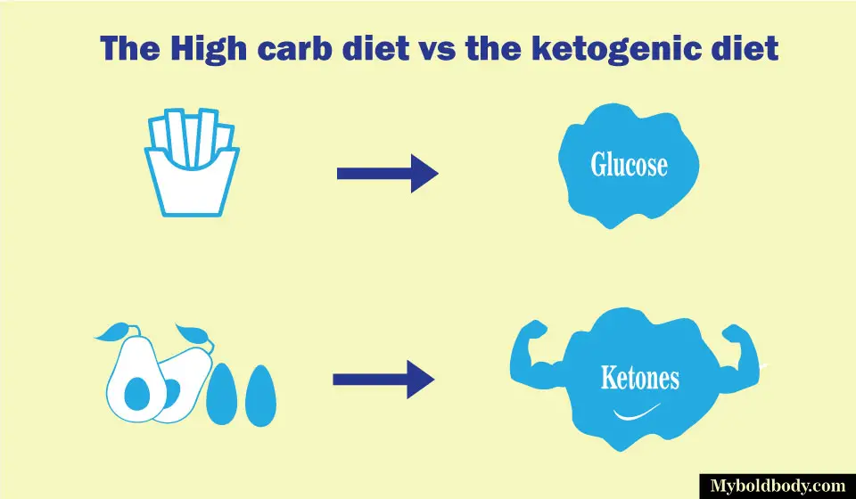 mechanism of high carb vs ketogenic diet