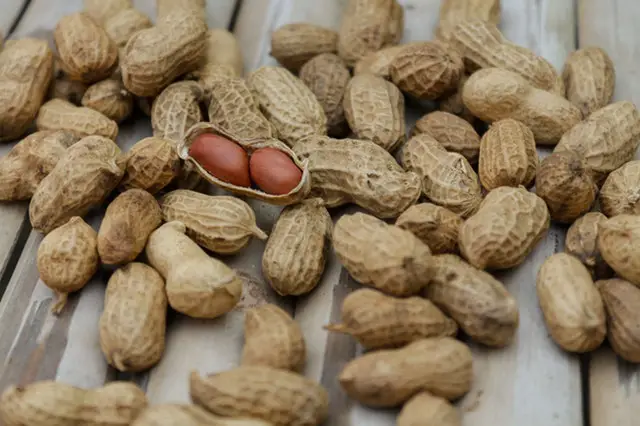 Peanuts on a keto diet