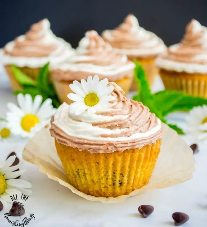 Chocolate Chip Cupcakes with Chocolate-Vanilla Swirl Frosting