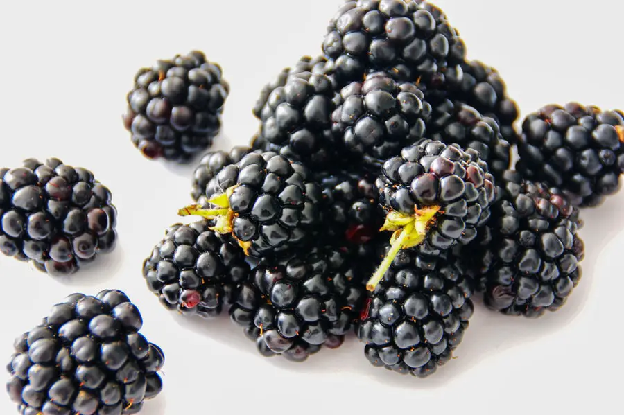 Blackberries keto fruit