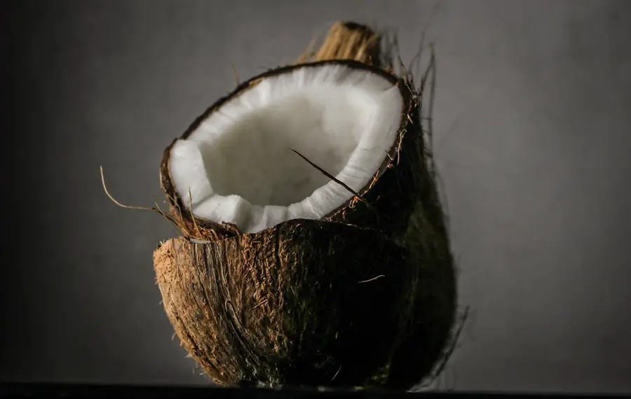 Coconut keto fruit