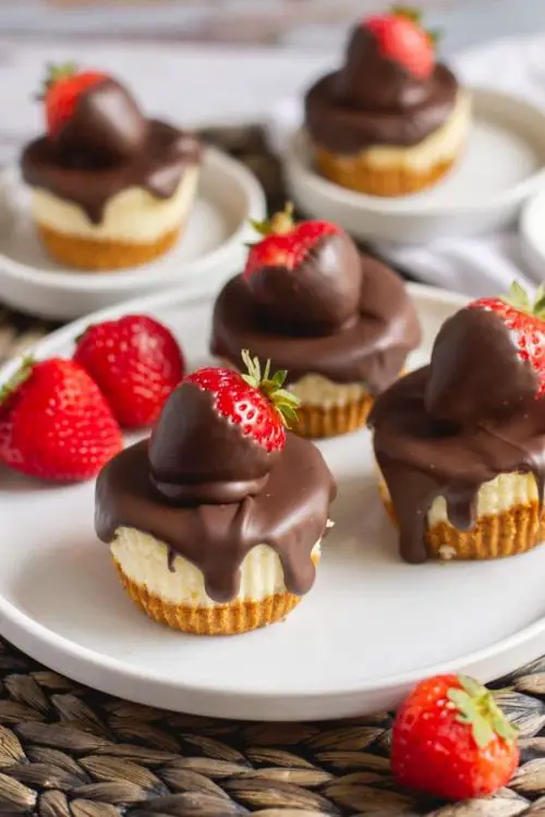 Chocolate Covered Strawberry Mini Cheesecakes
