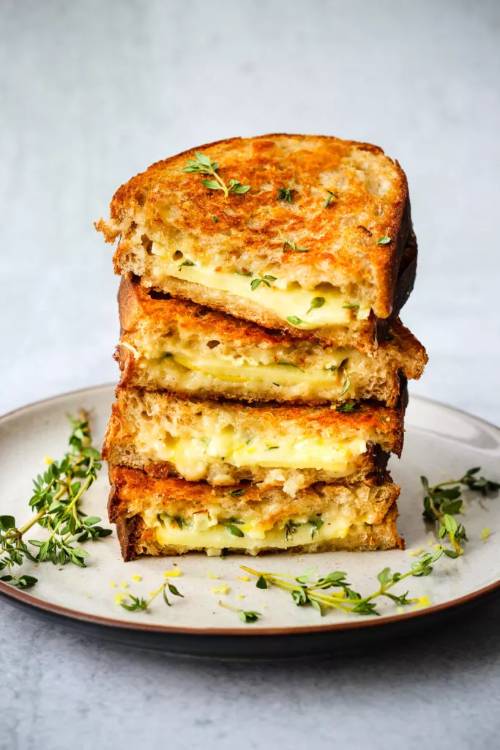 Gourmet Grilled Cheese Sandwich