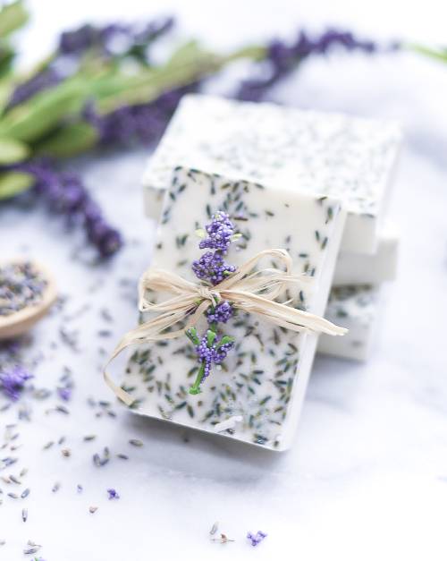 Lavender Soap DIY