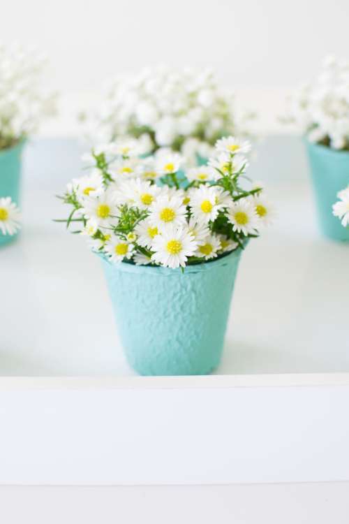 DIY Mini Flower Pots