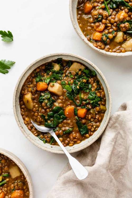 Vegan and Vegetarian Lentil Stew