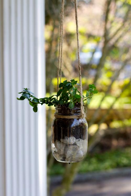 DIY Mason Jar Hanging Herb Planter