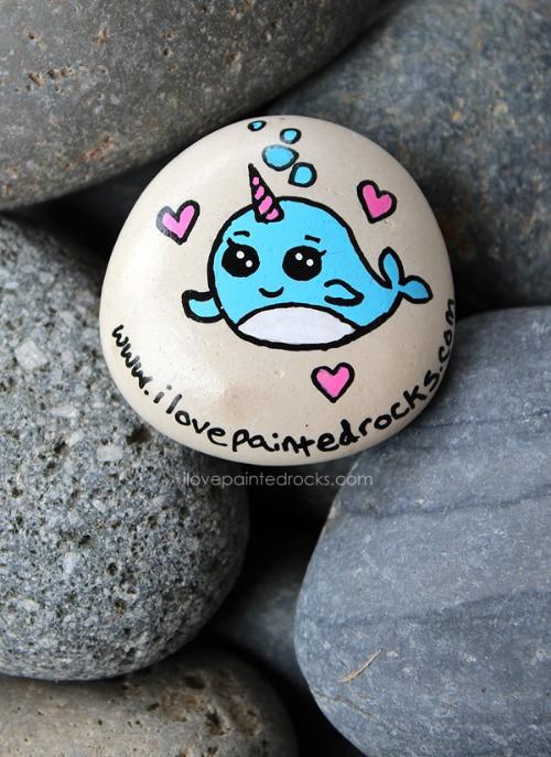 Narwhal Painted Rock