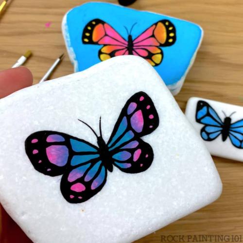 Butterflies for Beginners