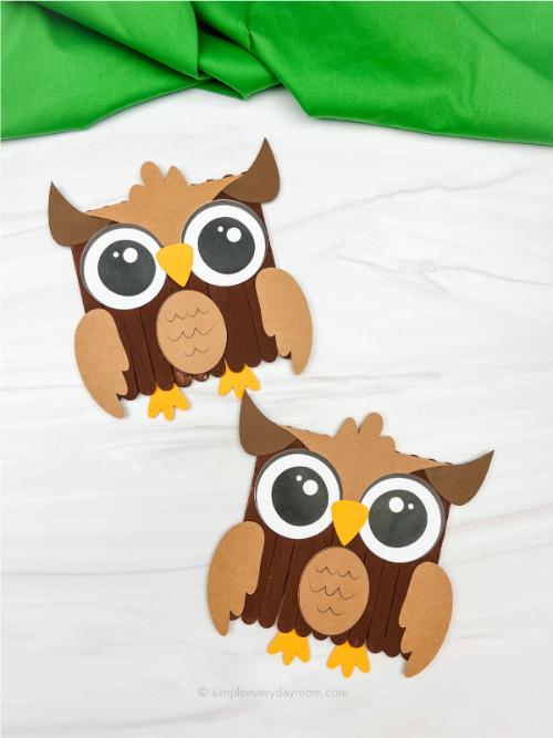 Owl Popsicle Stick Craft For Kids