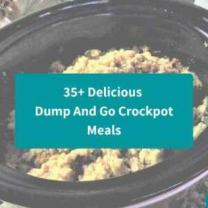 35+ Delicious Dump And Go Crockpot Meals