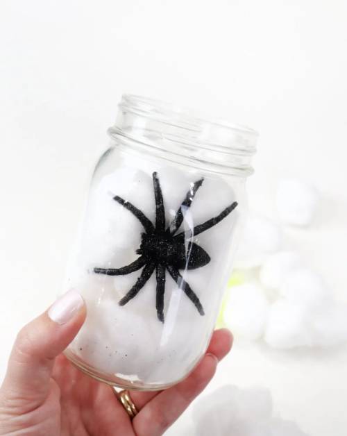 Glow-in-the-Dark Spider Jar