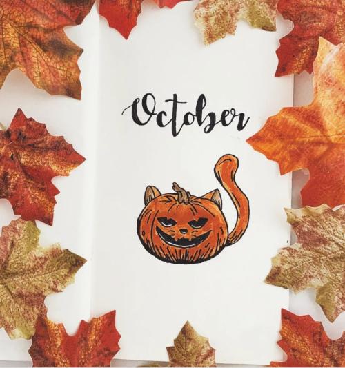 Pumpkin cat October journal