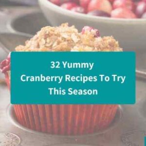 32 Yummy Cranberry Recipes To Try This Season