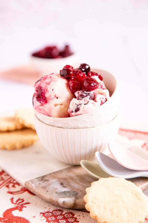 Easy Cranberry Ice Cream