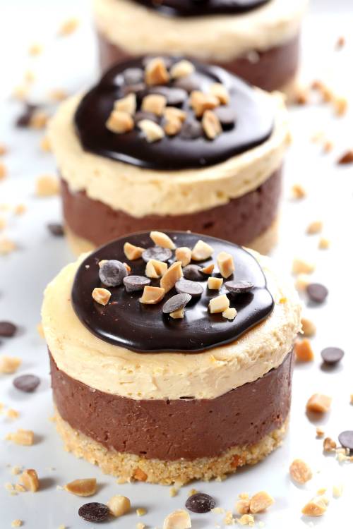 Chocolate Peanut Butter Mini Cheesecakes